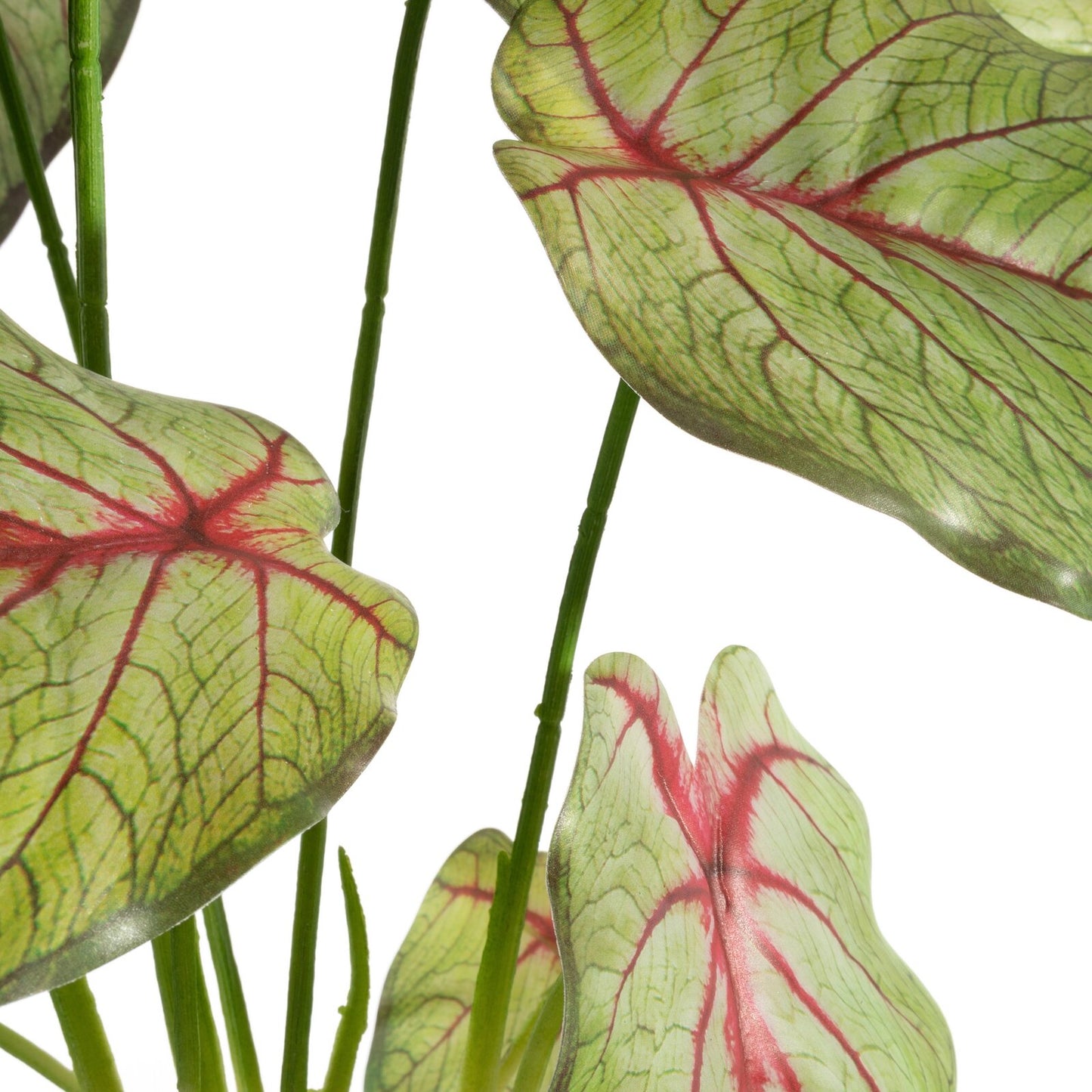 a02527d7fa2209e99cac184dfcdabe8d