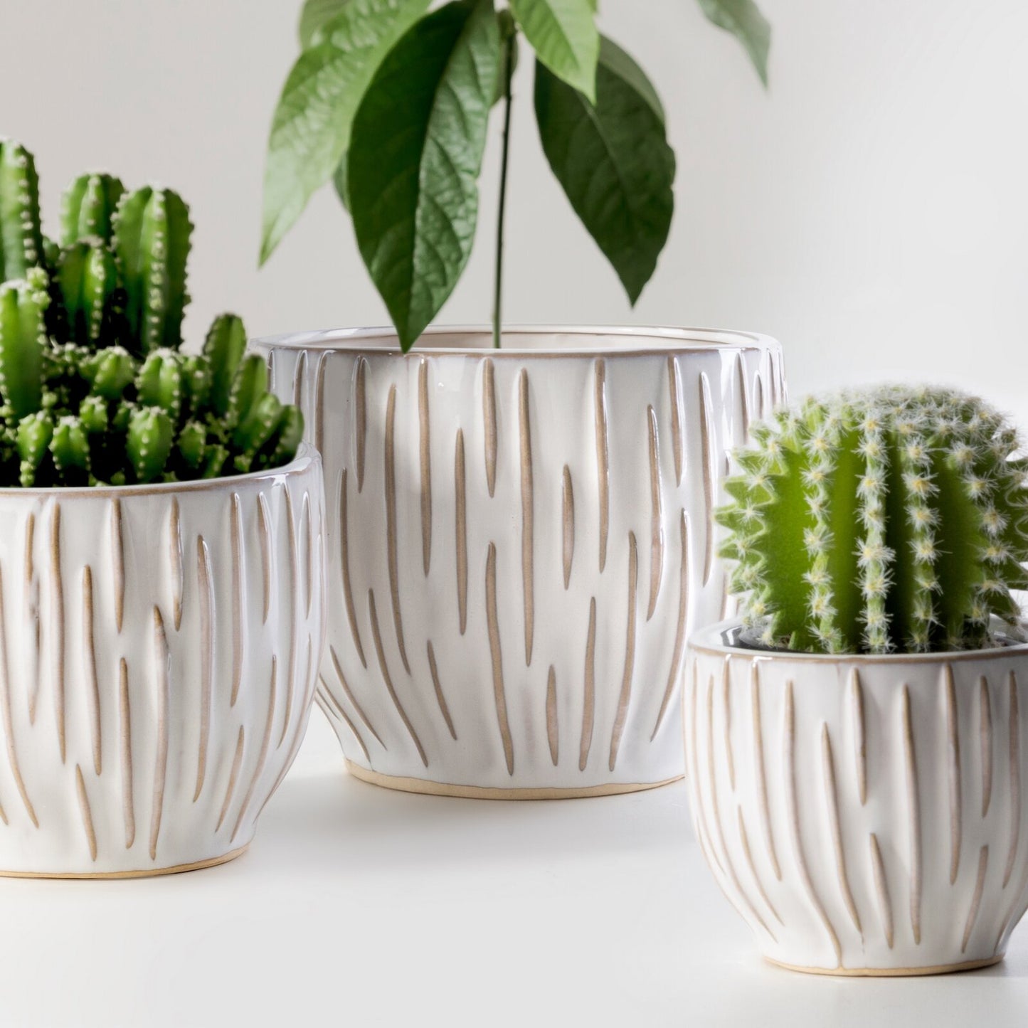 f8d826c759a155b3a776268b433cb6b9