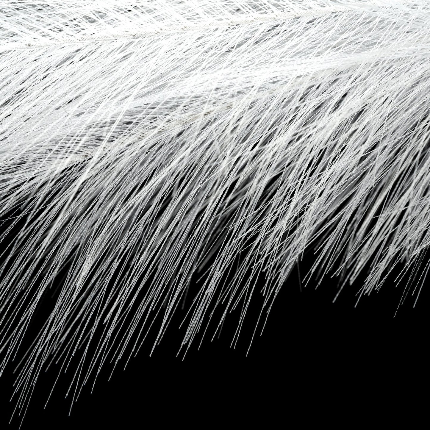 e7f59616be2f73a3b867eb0746e8ae60