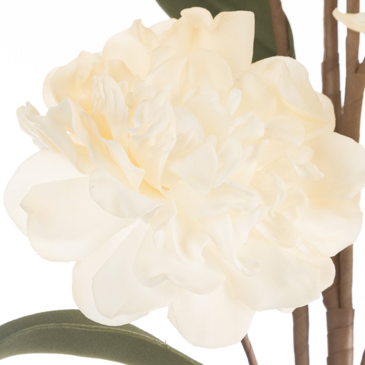 e9b5fbc510adf5e22b0b31242f424453