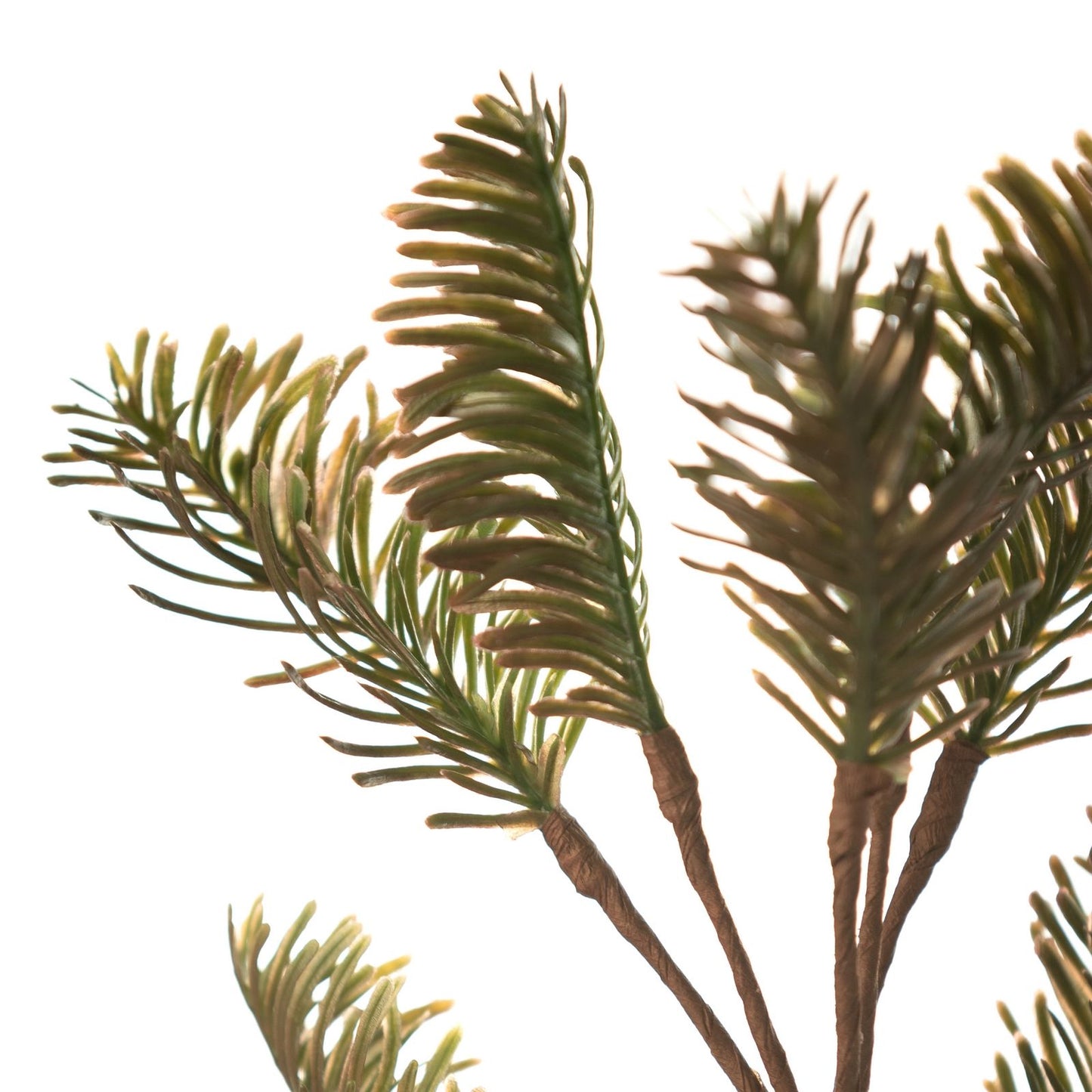 2a2f1954565b5a2bcf5d8418e0fed80d