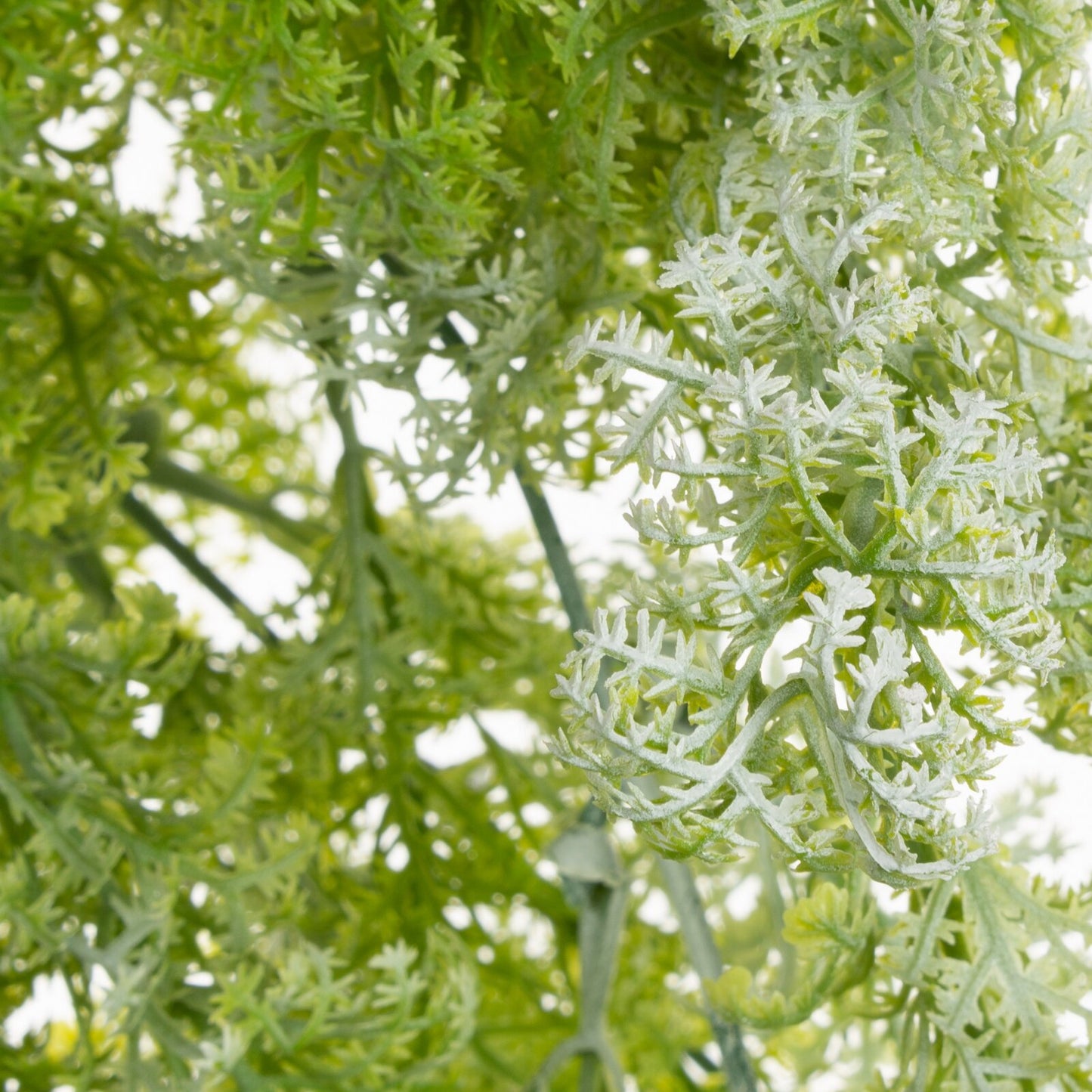 beaeb4d1bb5cd4402df56cb08a21d345