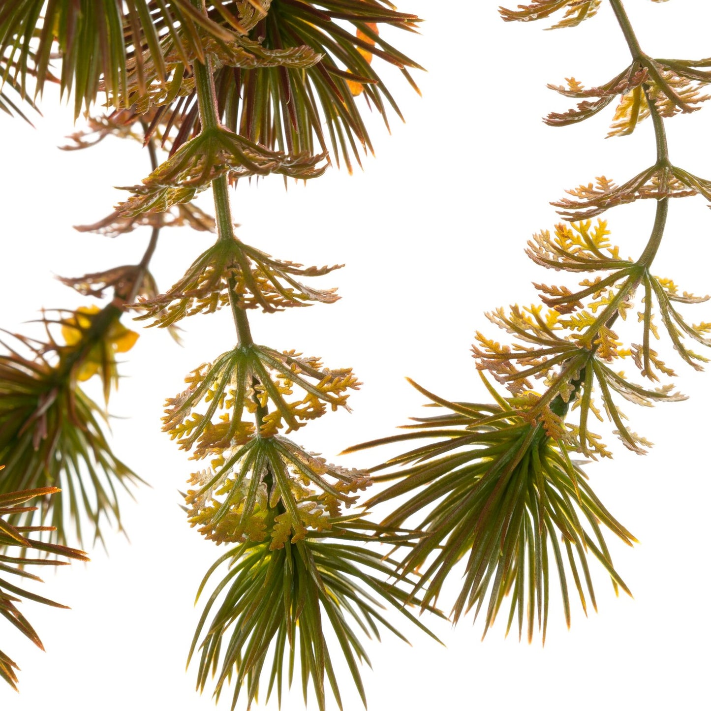 ce01157c2c73680892dfb4c8fe373cc3