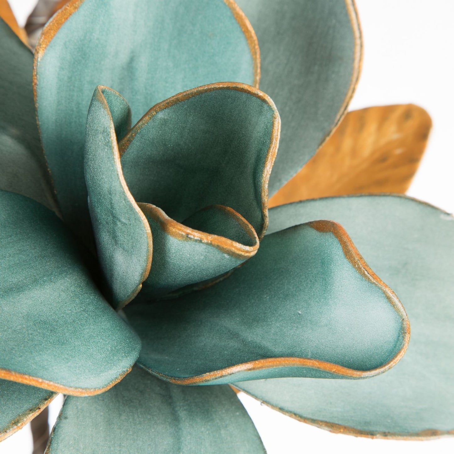 f88cac60358642090a7f07ad2ae0895e