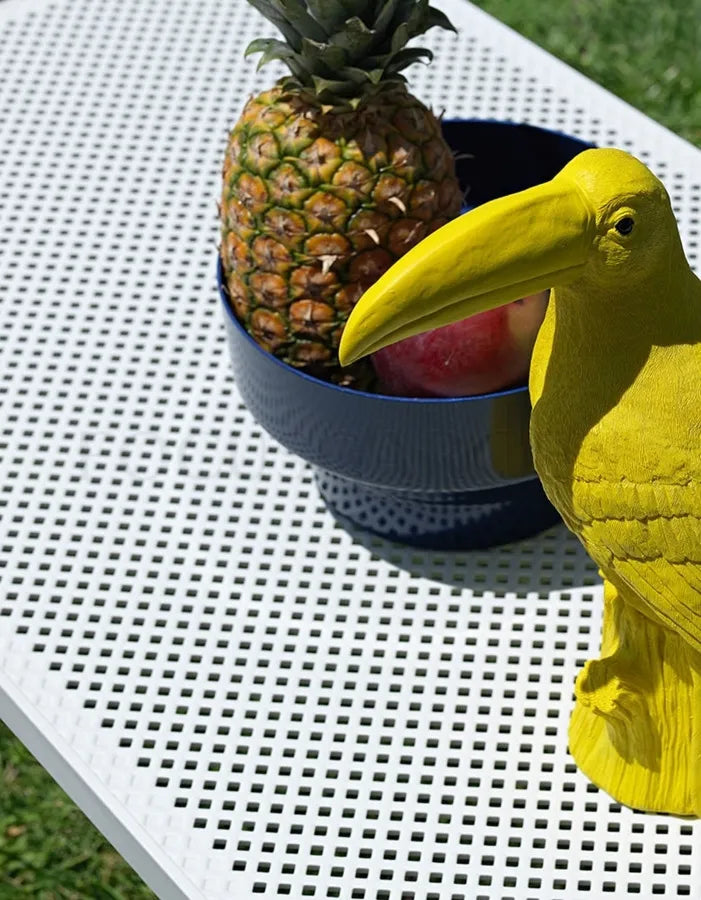 Dārza komplekts Narvi Reli senape - N1 Home