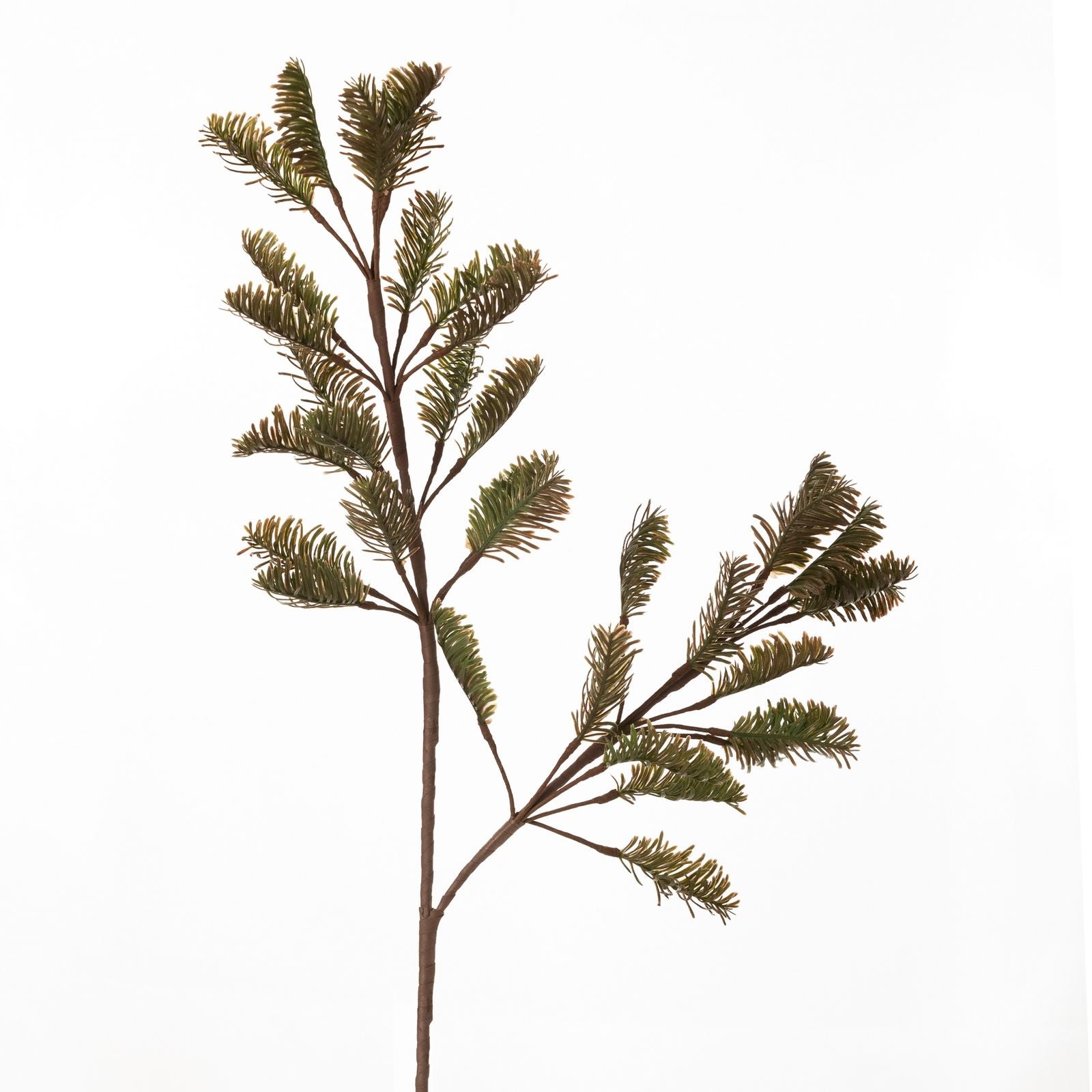 95c4bc8707870a60472278c0f8a0ca28