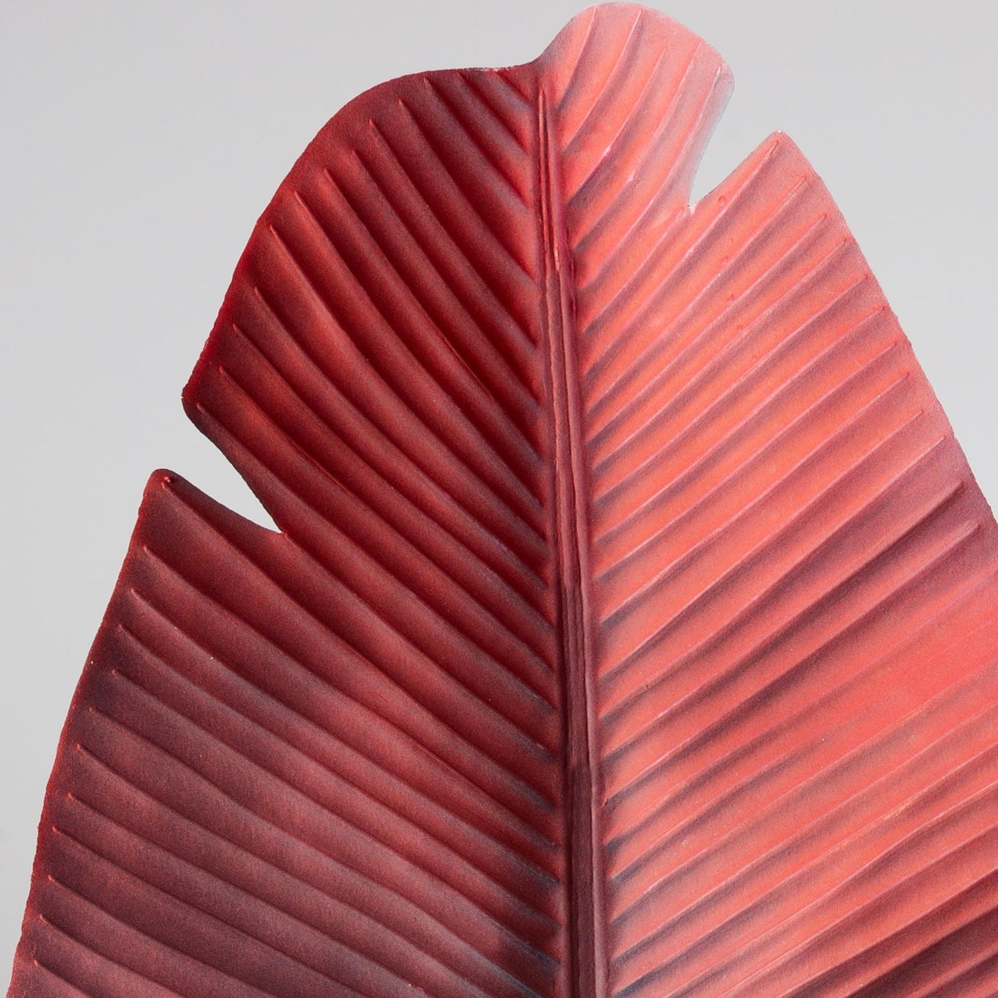 e1021ae3e97b9ab2cad3df202b213020