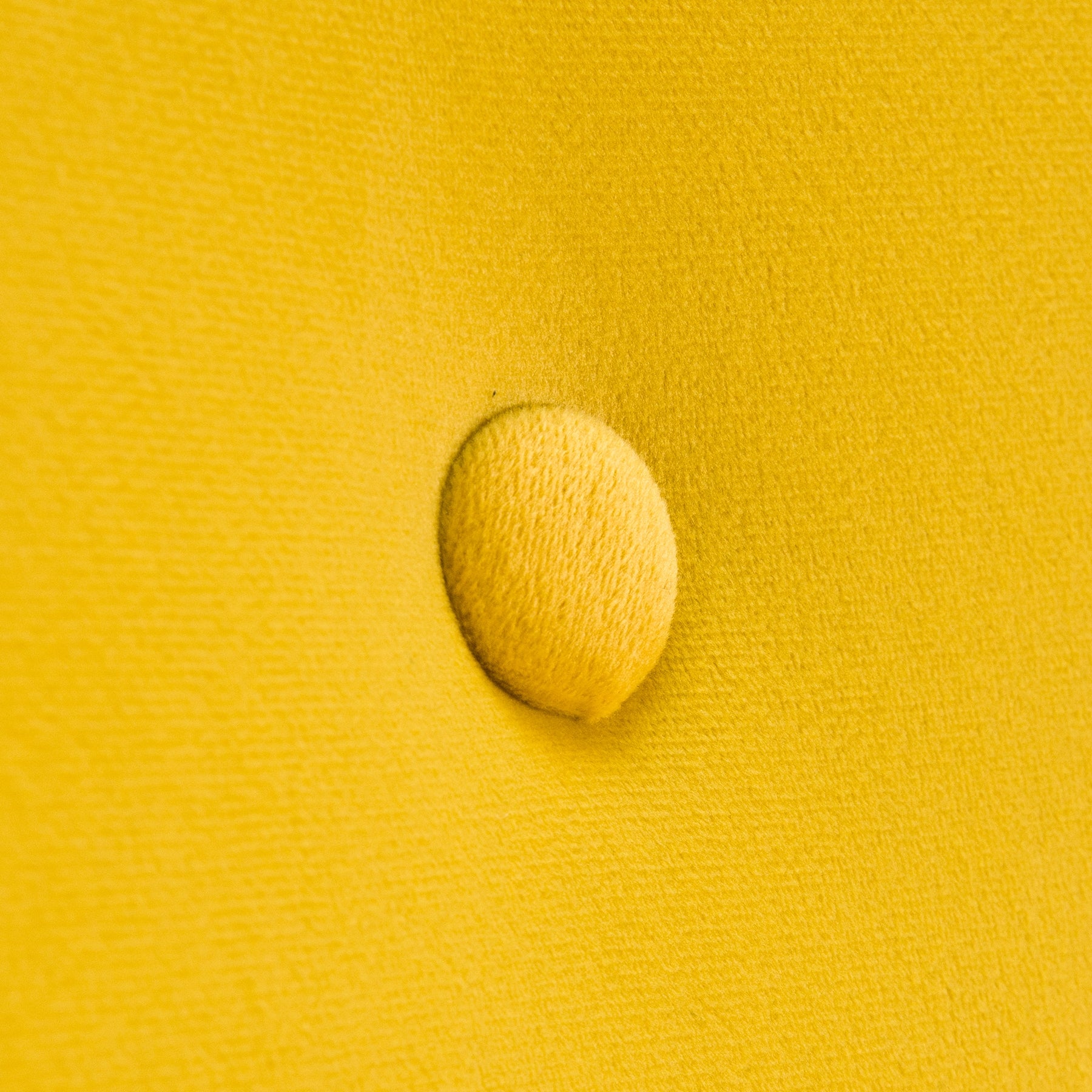 50628ed634ed755d636819554f3fd9b3