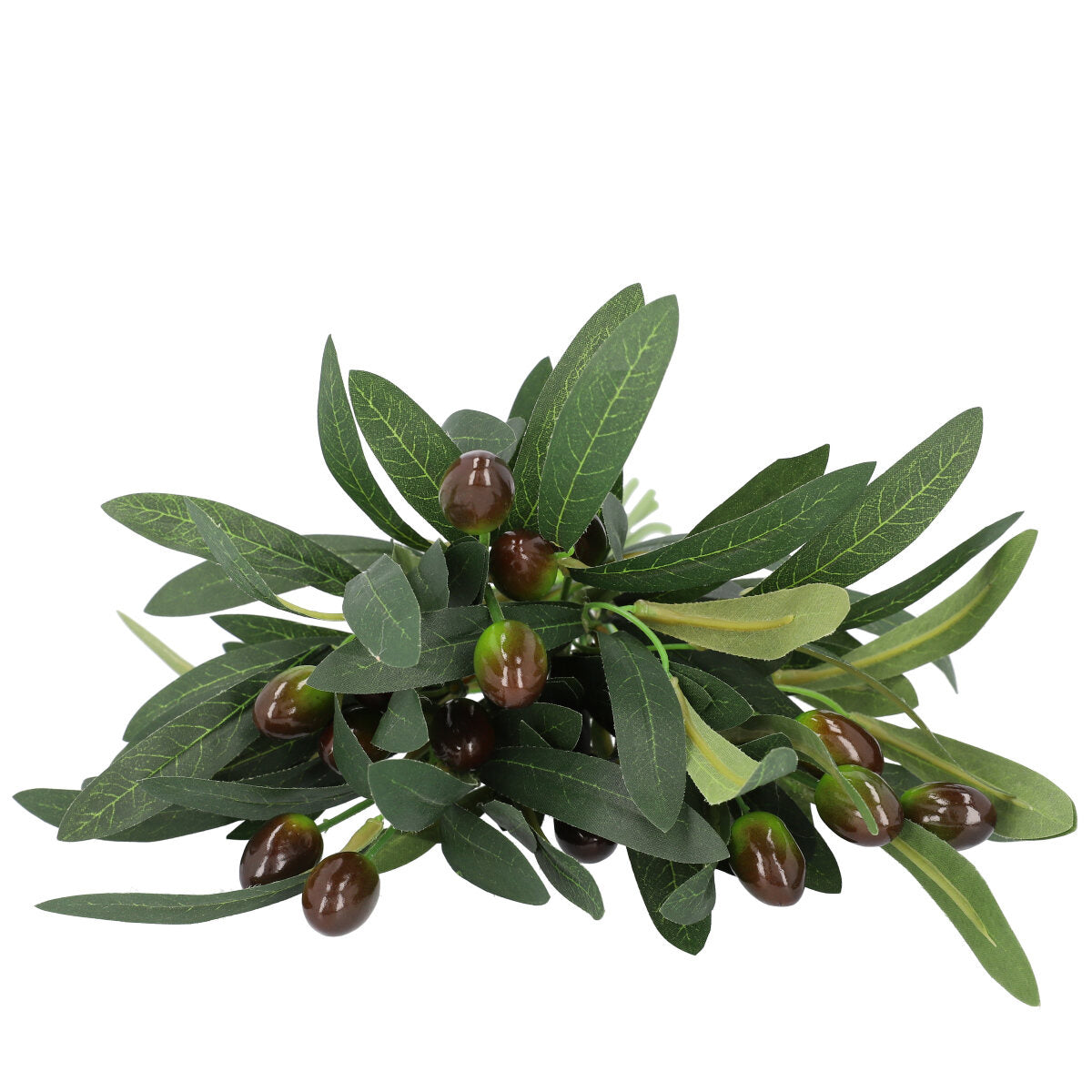 4dc227c031e8fe8569ddf264bec6a74d