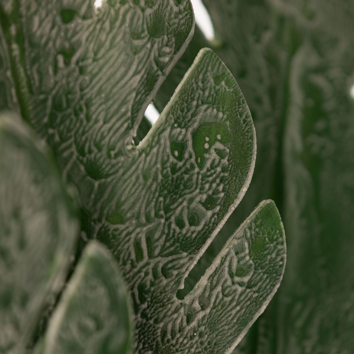 65b5dc2b347eb5d2428923f85559c377