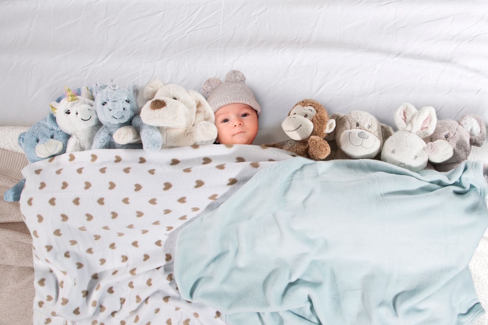 681aba9768f9c847ad619bba5ab42b33