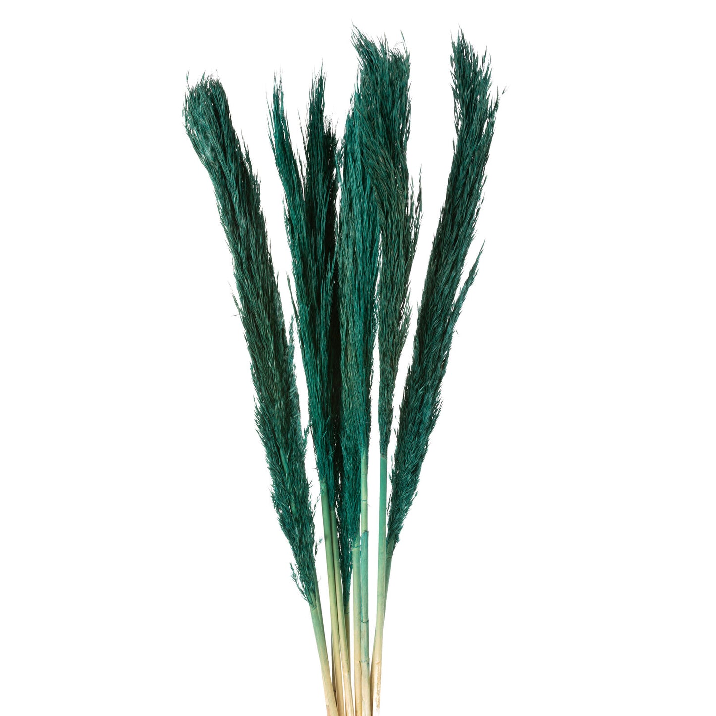 10b9d61c115f3d280aceff6cc229cbbb