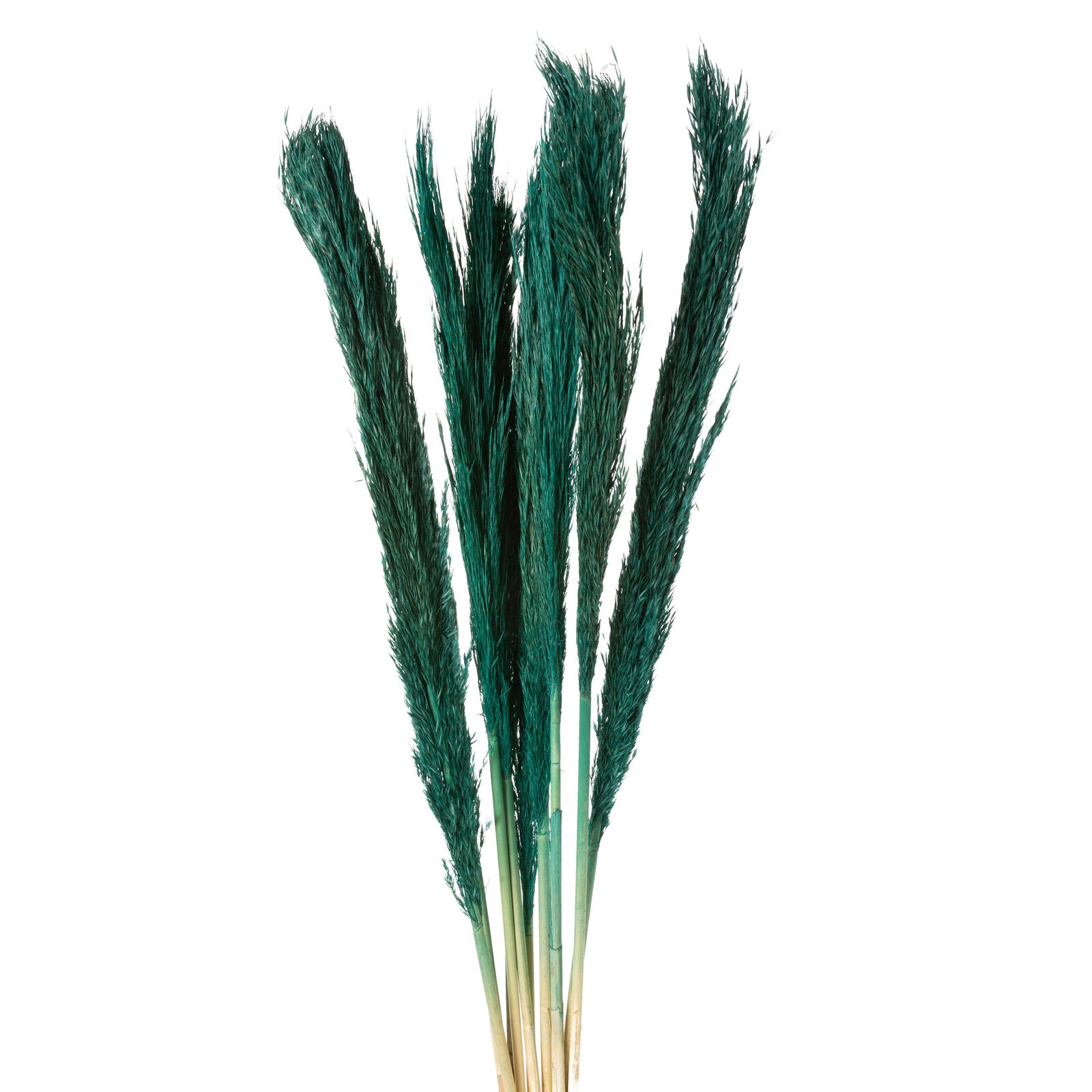 10b9d61c115f3d280aceff6cc229cbbb