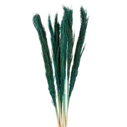 10b9d61c115f3d280aceff6cc229cbbb