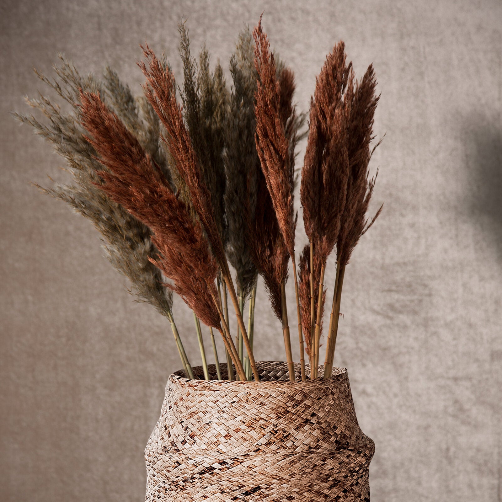 5b979add413161e02c6f987e3ae89ed3