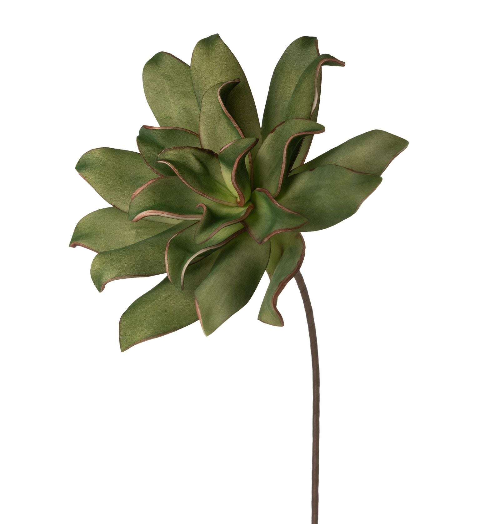 e28cd2d6b8b7608404e5ec563e8aa2b4