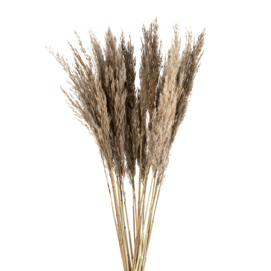 cb13a5197ea3c0cdfdd0a196b529ba98