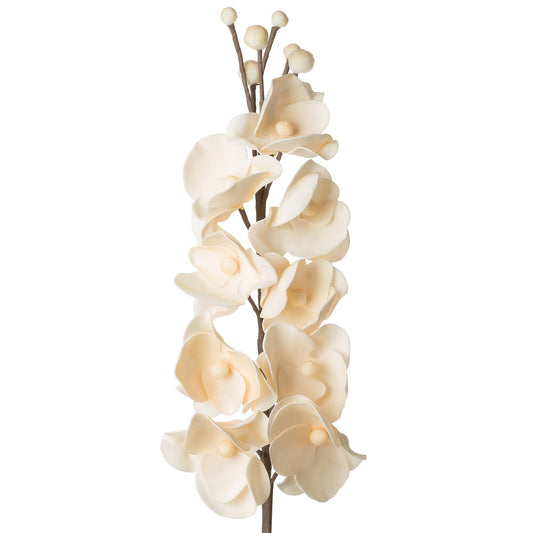 f69ad17b425fd493fe7ed8ca09b60bc6