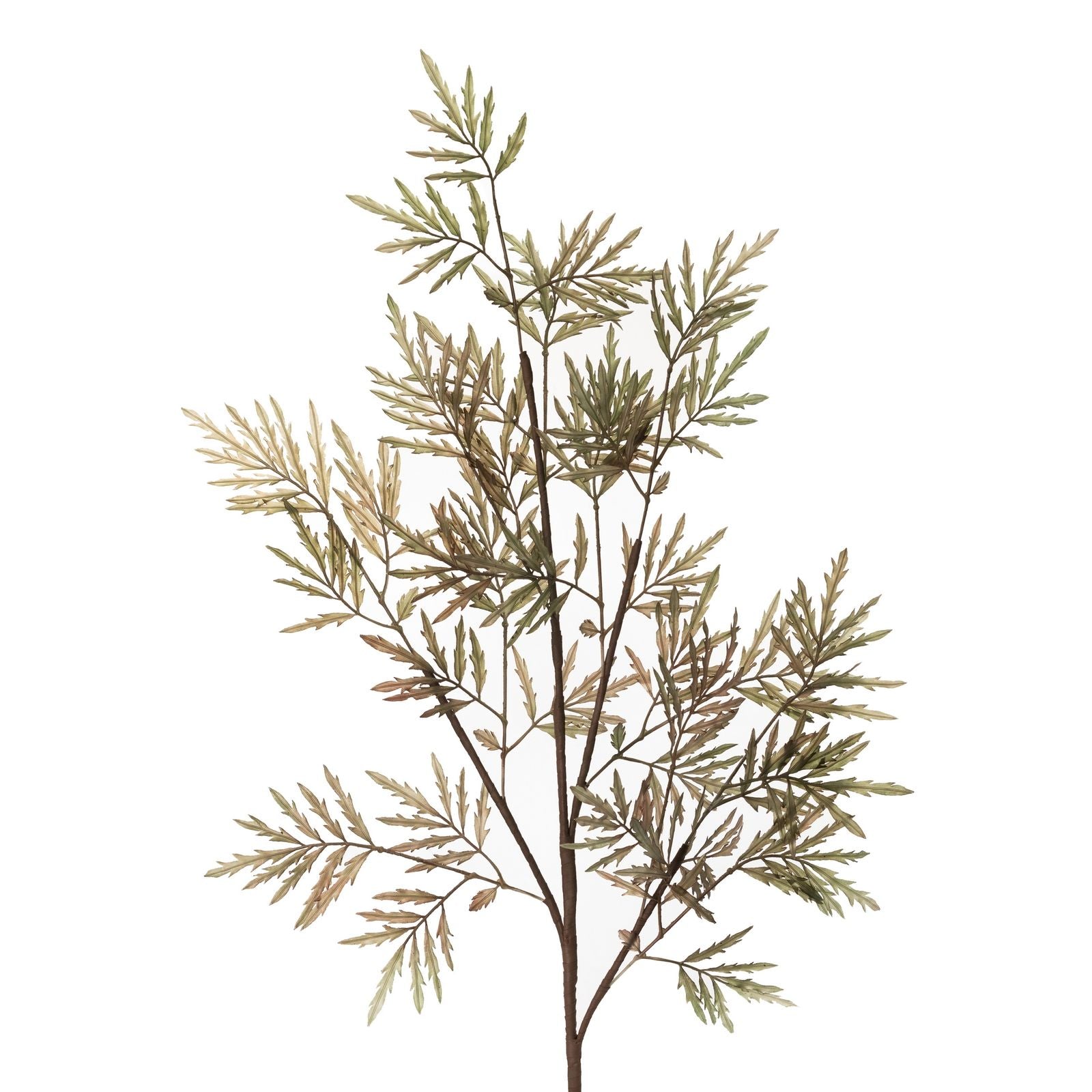 81ec7aa2a4e784b35caa025a0ea76cd3