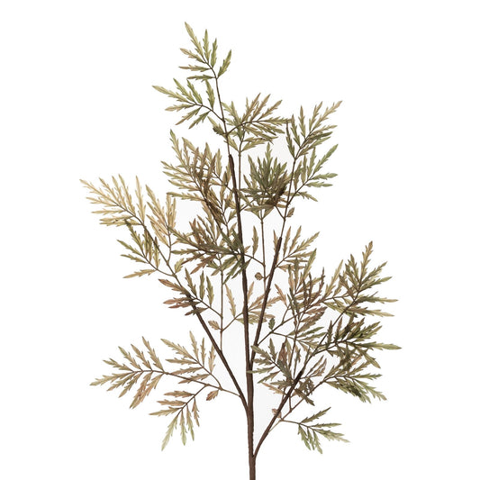 81ec7aa2a4e784b35caa025a0ea76cd3