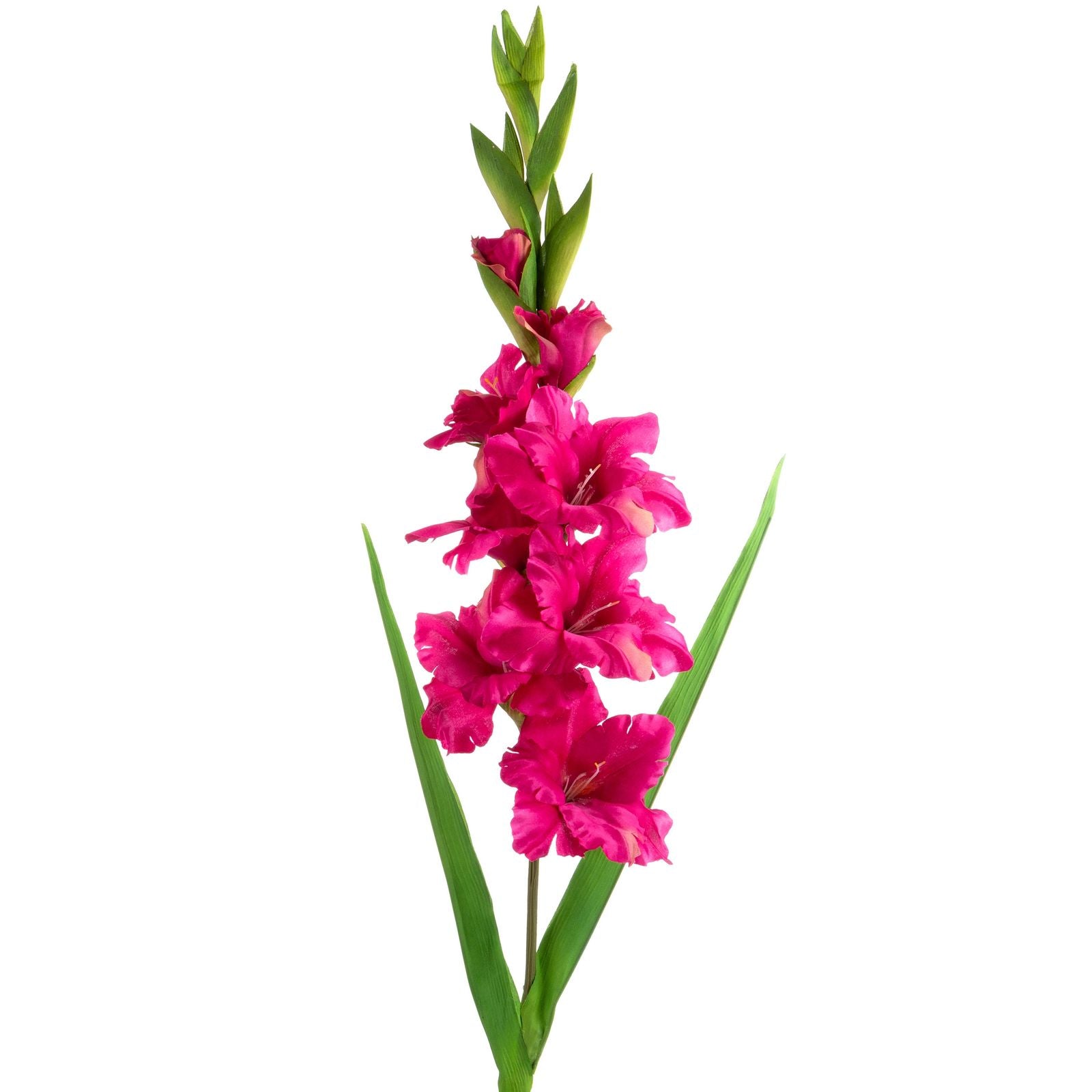 75d07ee091db9048c8734bc1aea928be