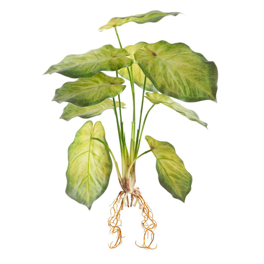 beaacbe3448fd95a1f15e4f49f6fdbb1