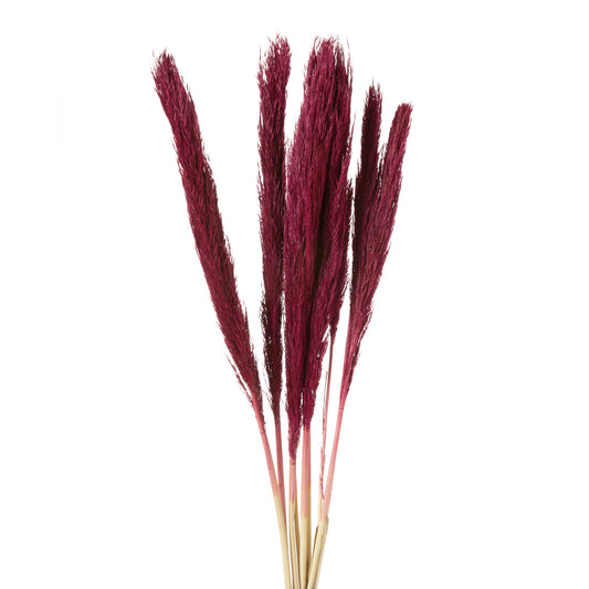 dfa45353035b62c11b68c5c7d665a6f5