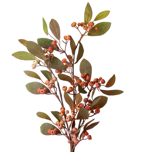 295c42c5629bff892a26fa7a01725d31