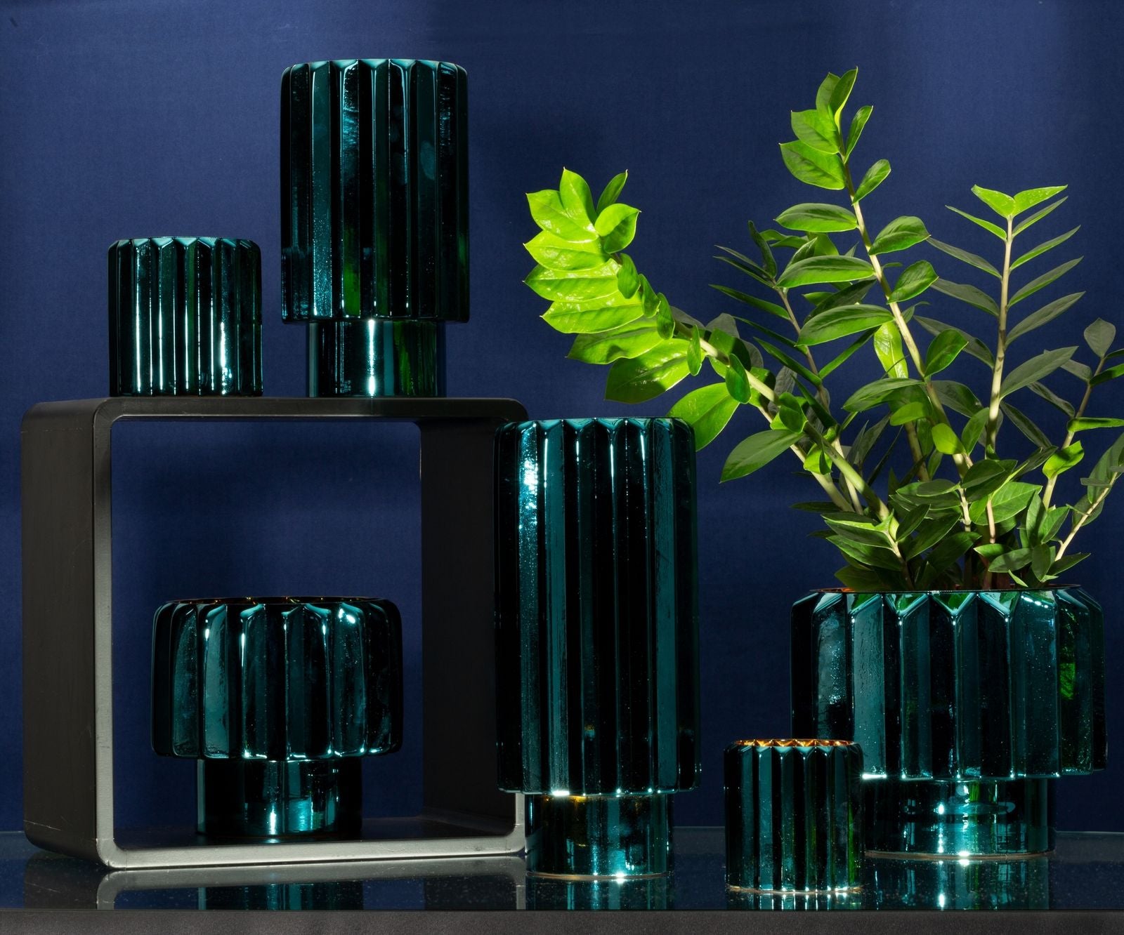 fc3d564369e2402b872a363eb5b81841