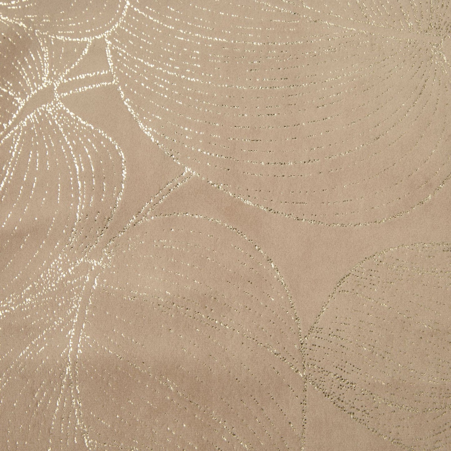 973e3eeea0629dd82f95c1b54a2db5be