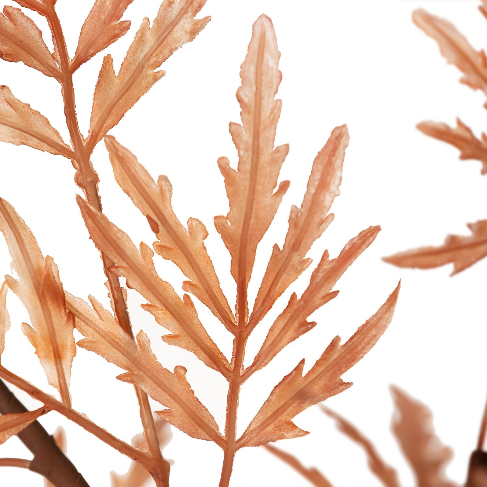 af052b69446aae40d6526742043ff44f