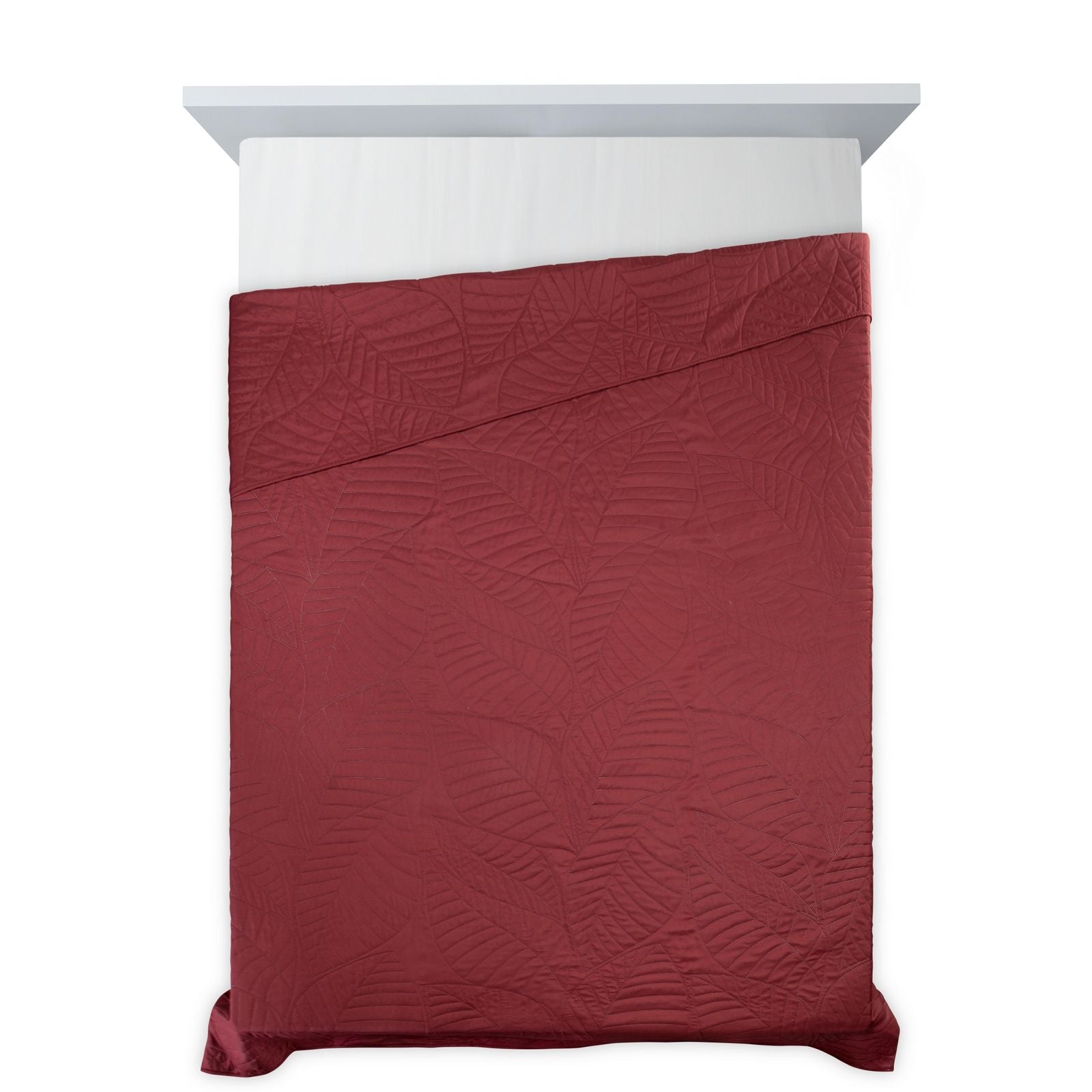 bbf986a2f1a1cb1c603fee8233978e38