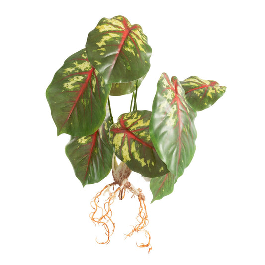 4829f3d8f195daa549c57ee7d22c024b