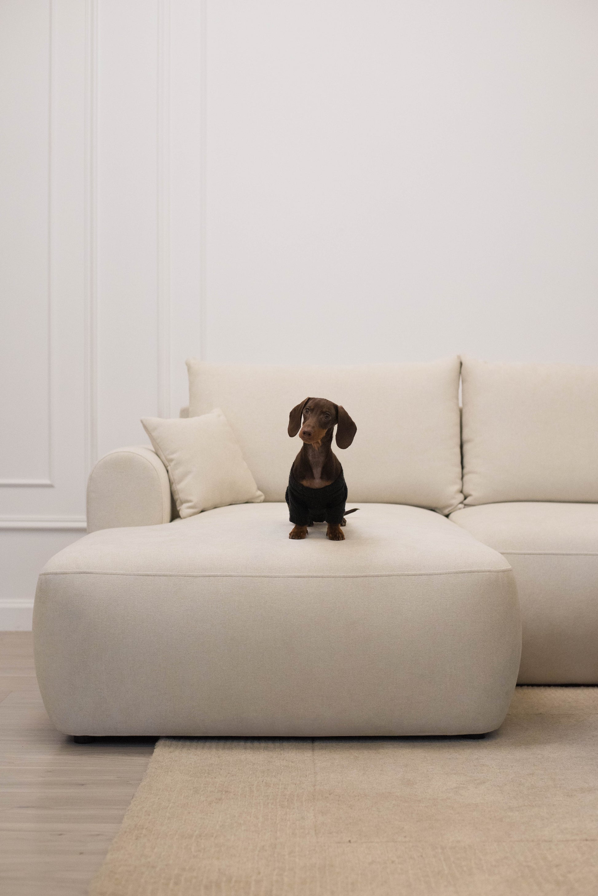 Dīvāns Ovors mini 239/93/156 cm Storm 02 - N1 Home