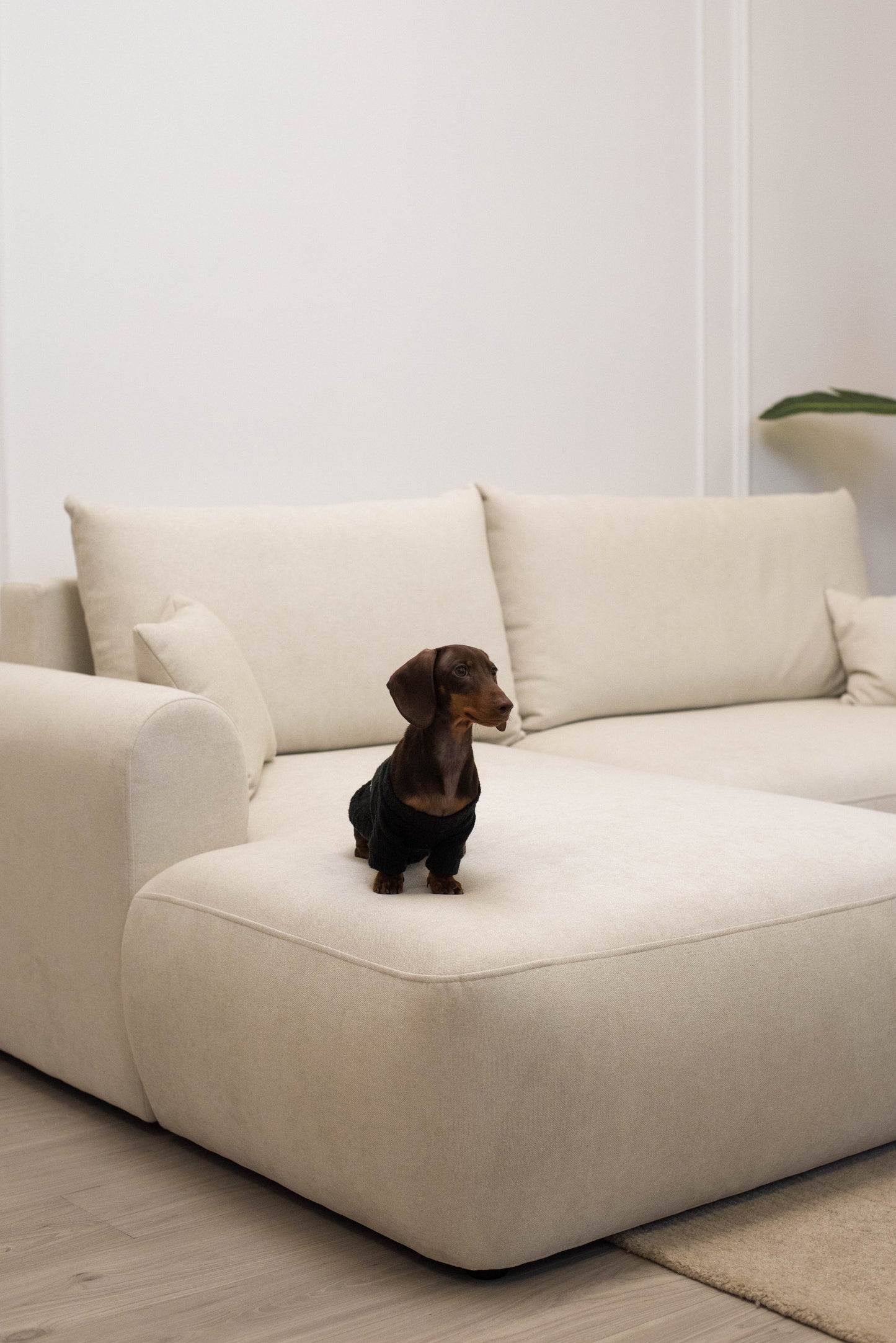 Dīvāns Ovors mini 239/93/156 cm Storm 02 - N1 Home