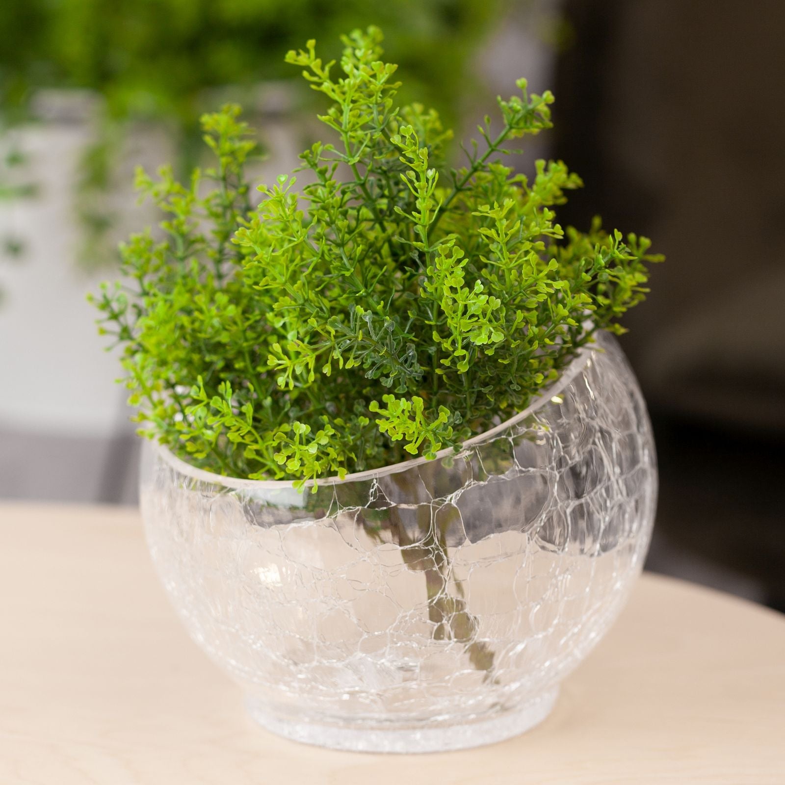 bc21cc34b9b262d3d21d86bef2435b48