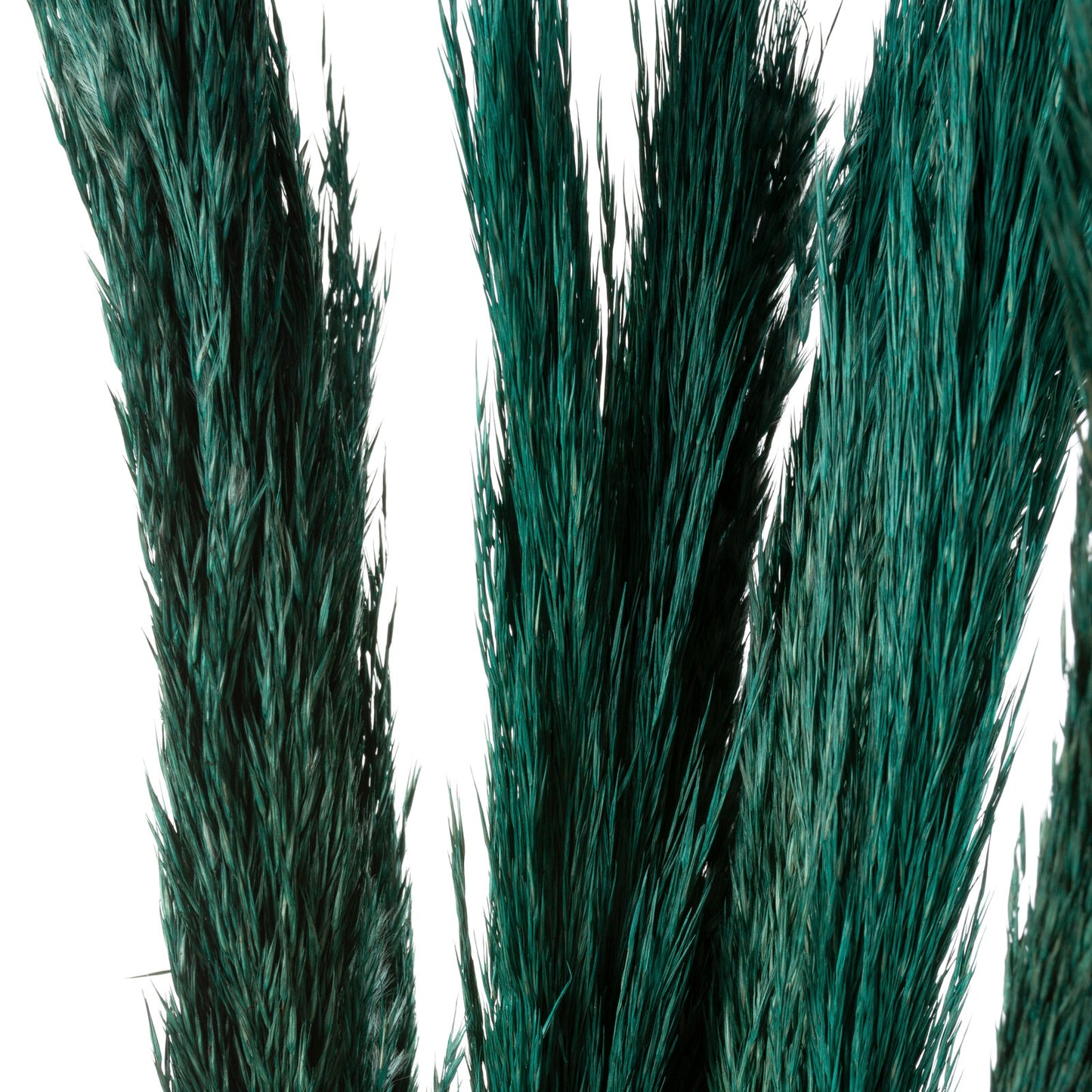 19a7e03b2444cf6f7e3106046177ea70