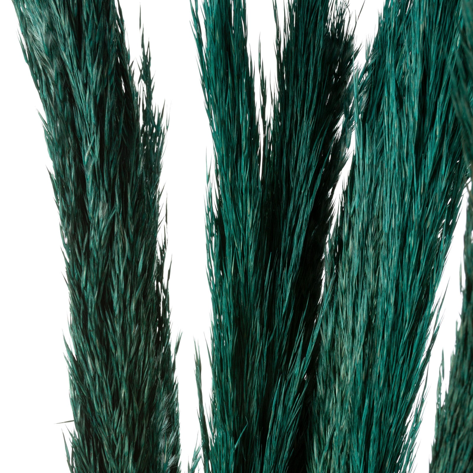 19a7e03b2444cf6f7e3106046177ea70