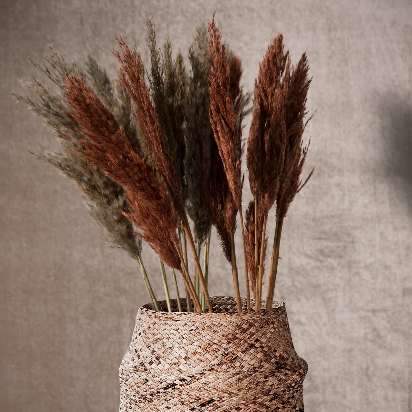 a9eab14ca074047c6173c5da98e68301