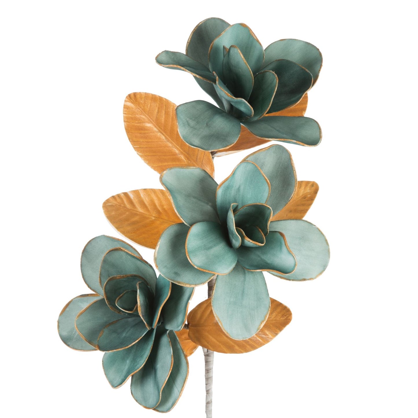 35365553a7901bb3297a9b89009ba703